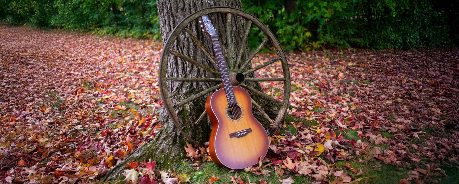 Seagull Guitars marka görseli
